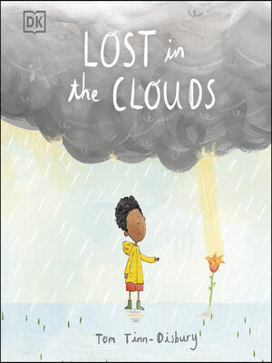 Lost in the Clouds - ebook